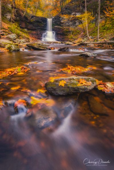 Fall Photography Shooting Tips Blog Post by Landscape Photographer Chrissy Donadi
