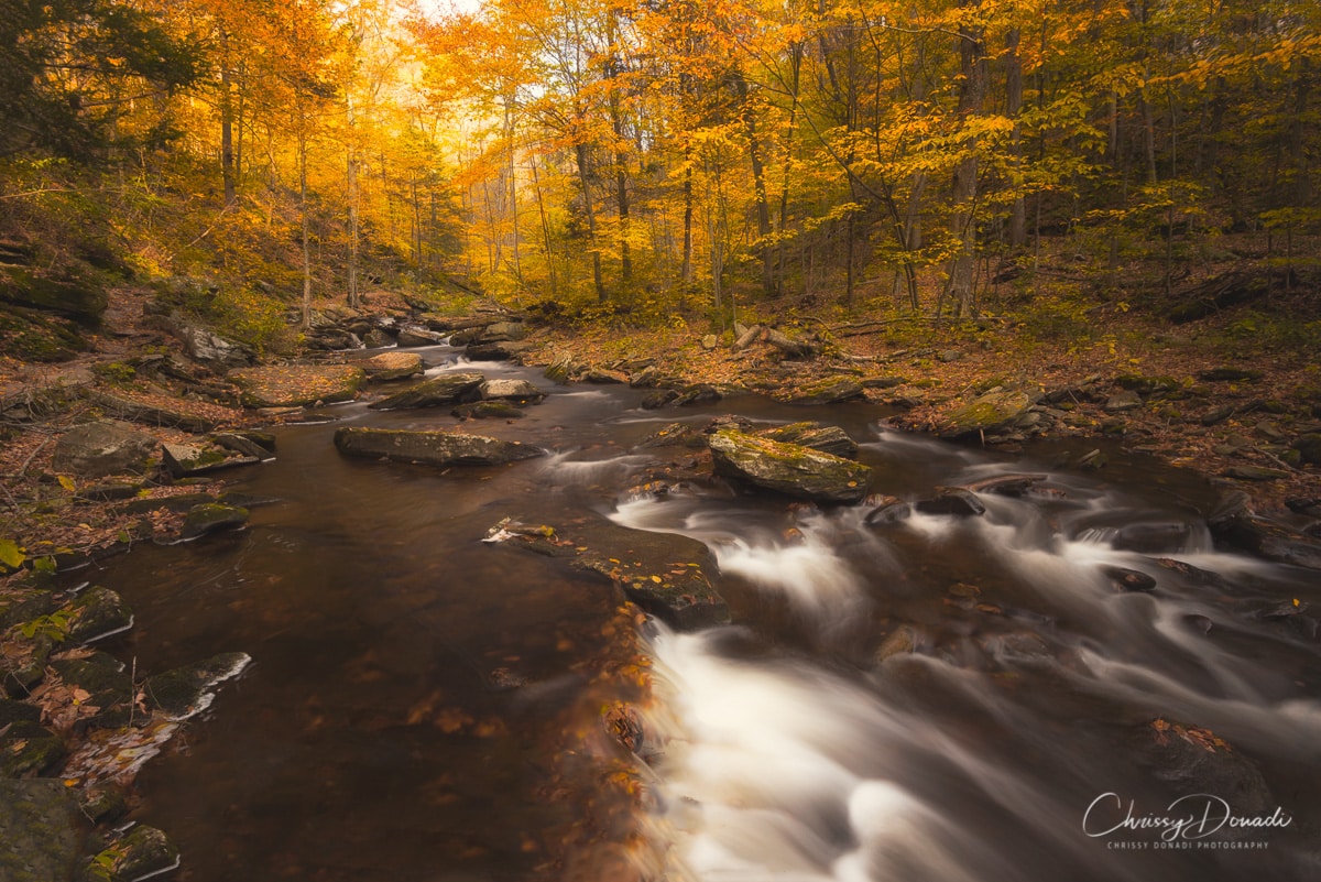 Choosing the Best Travel Days to Photograph Fall Foliage Blog Post by Chrissy Donadi