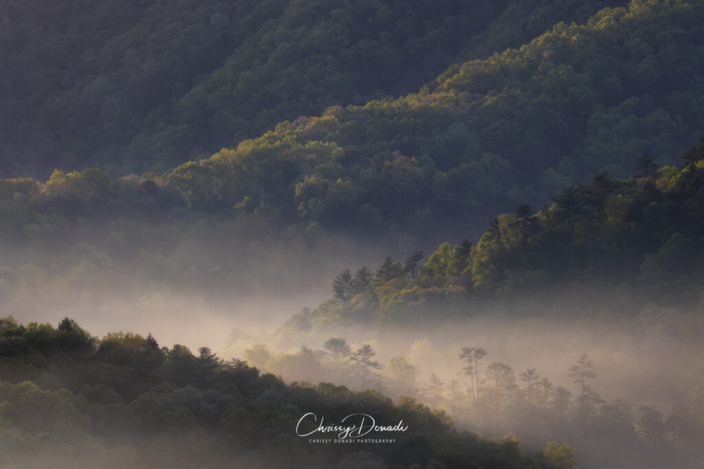 Landscape Photography of Appalachian Mountains in the Great Smoky Mountains National Park