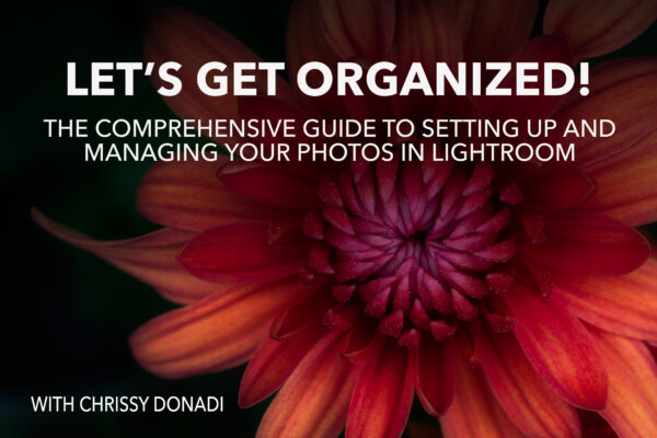 How to Setup and Organize Your Photos in Lightroom Course