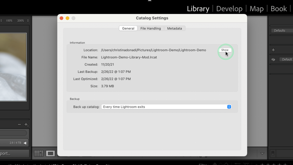 Where to Store Your Lightroom Catalog Chrissy Donadi Photography