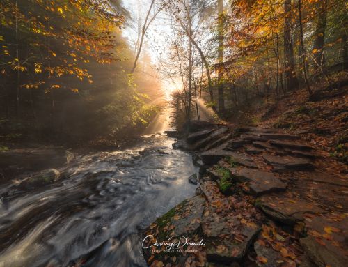 Fall Photography: Easy & Effective Post-Processing Tips