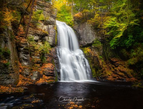 How to Photograph Stunning Fall Foliage: 6 Essential Tips