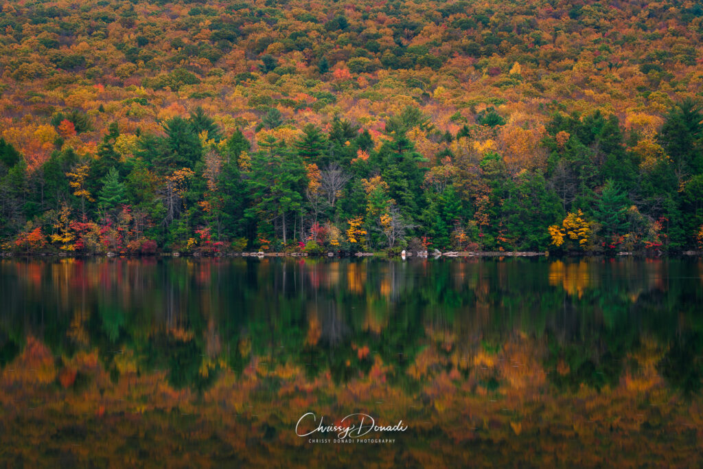 Fall Photography of Colorful Leaves Reflected in a Still Lake