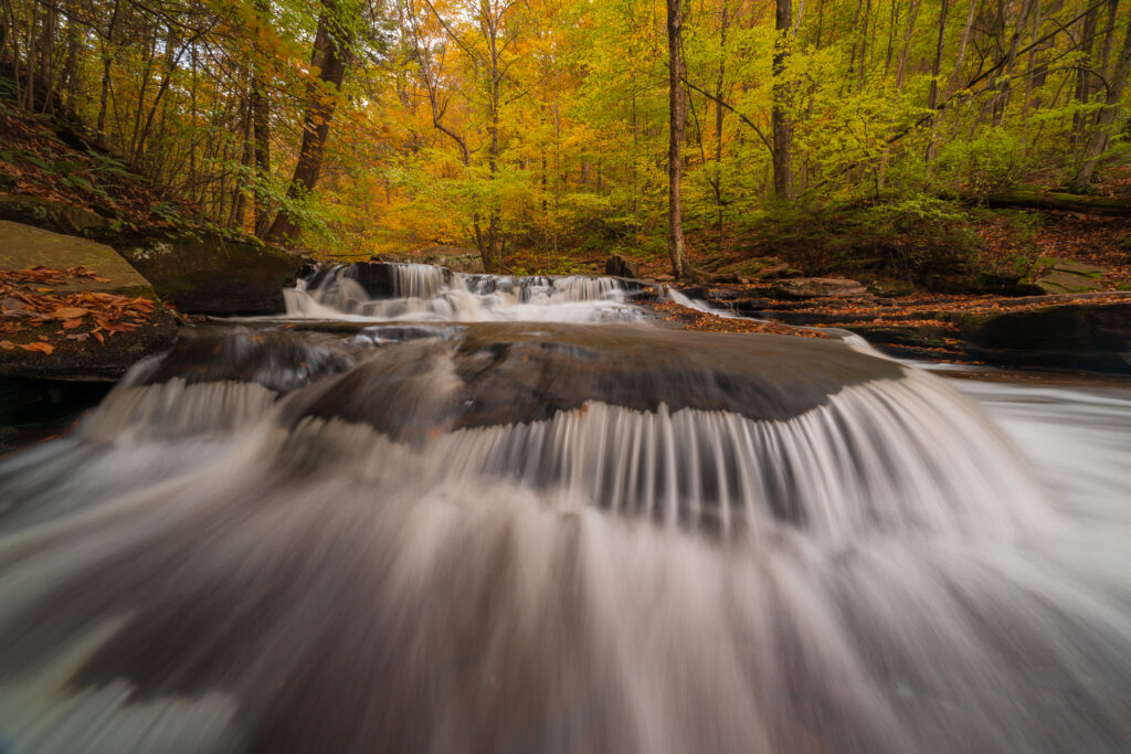 Luminance Slider Example for Fall Photography