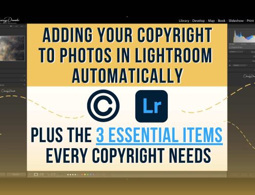 How to Add a Copyright to Your Photos in Lightroom