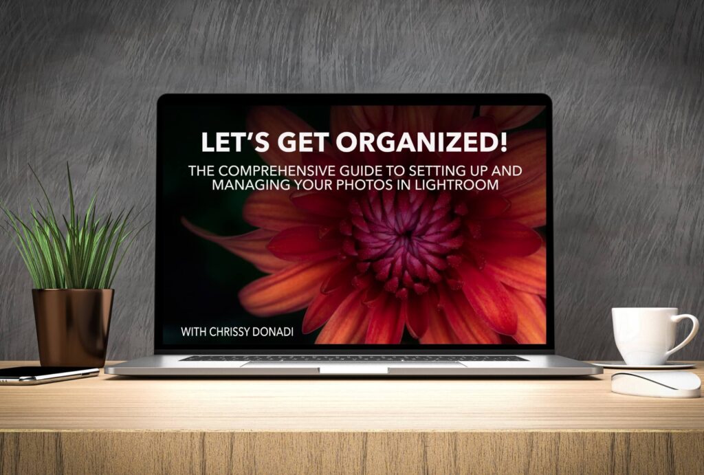 Cover Image For Let's Get Organized in Lightroom Course