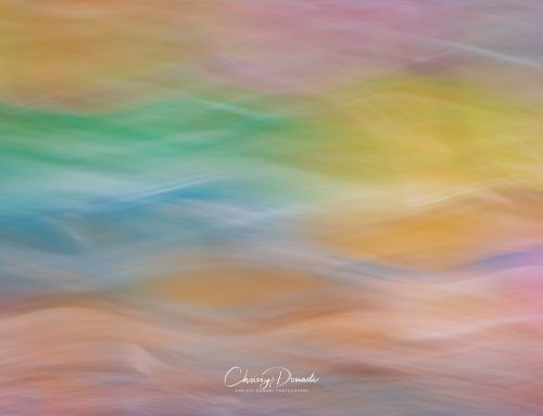 The Three Most Important Words to Transform Your Photography