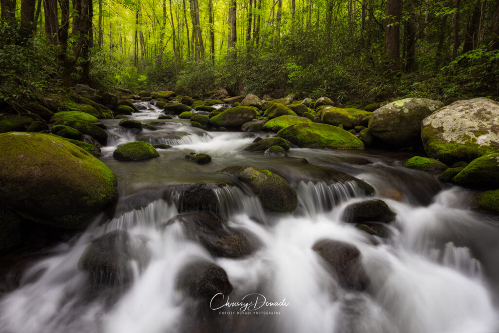 Spring Landscape Photography of Spring Cascades in the Great Smoky Mountains National Park