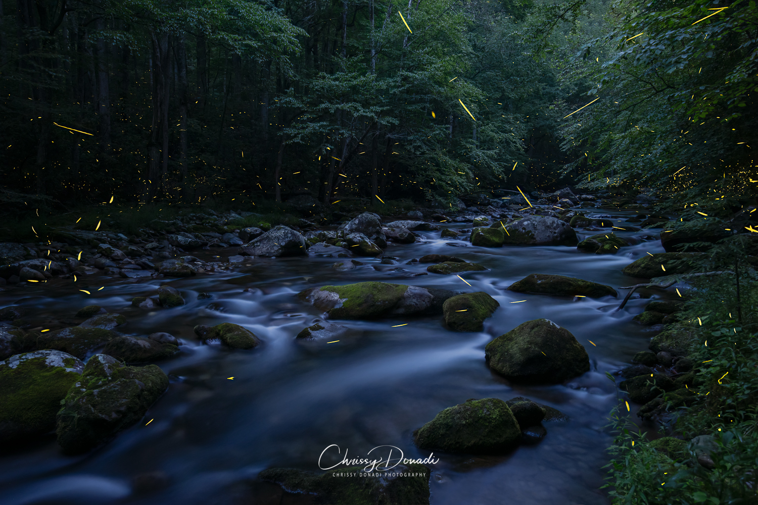 River scene in the Great Smoky Mountains National Park at night with fireflies and lightning bugs flashing all throughout the scene