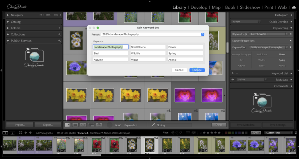 Example how to keyword photos in Lightroom using Keyword Sets