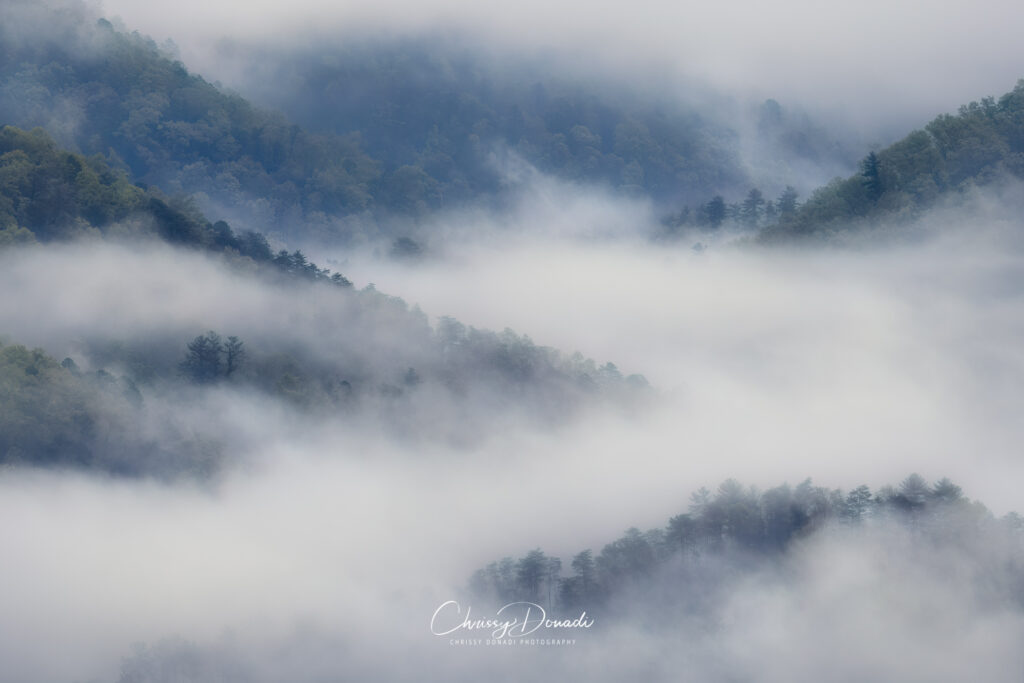 Blue hour sunrise of fog drifting in an out of the Great Smoky Mountains National Park