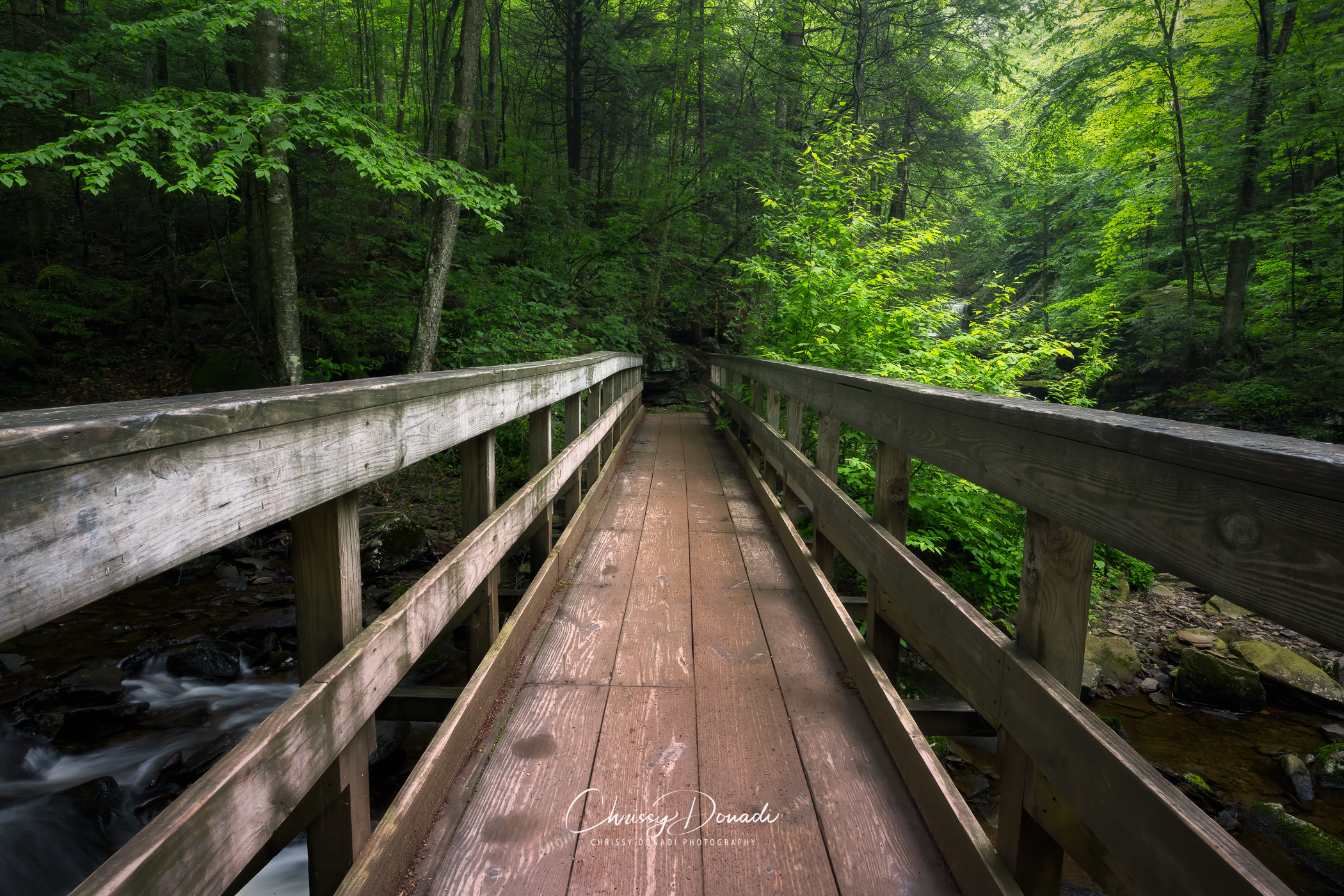 Straight path over a wooden bridge through a lush, summer Appalachian forest with a waterfall flowing underneath.