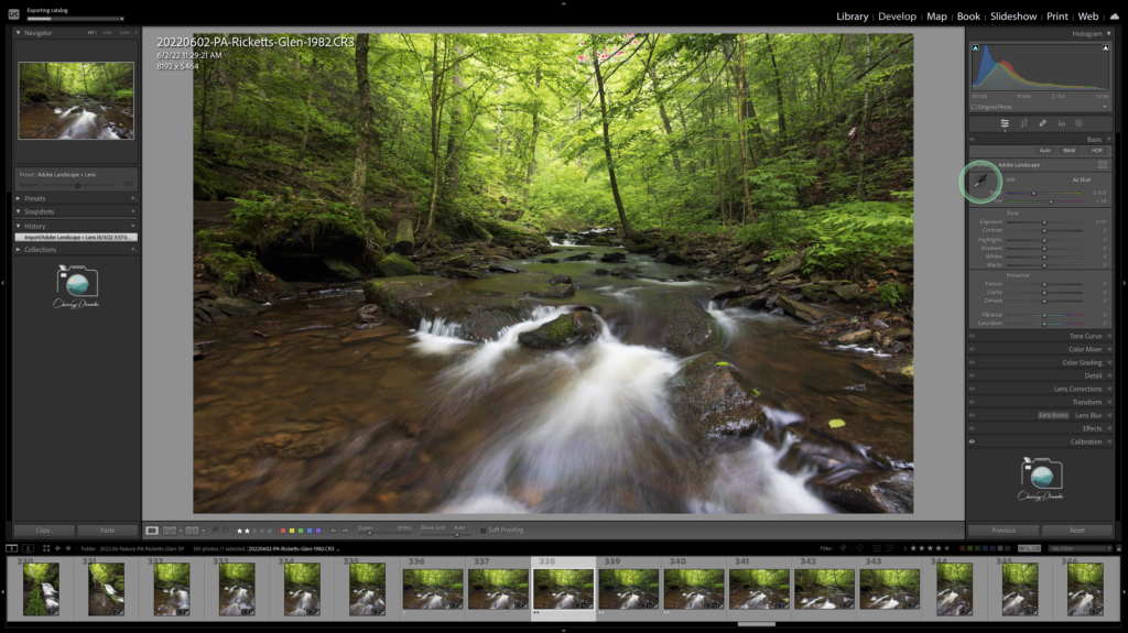 Using the Picker Tool to set your White Balance in Lightroom 