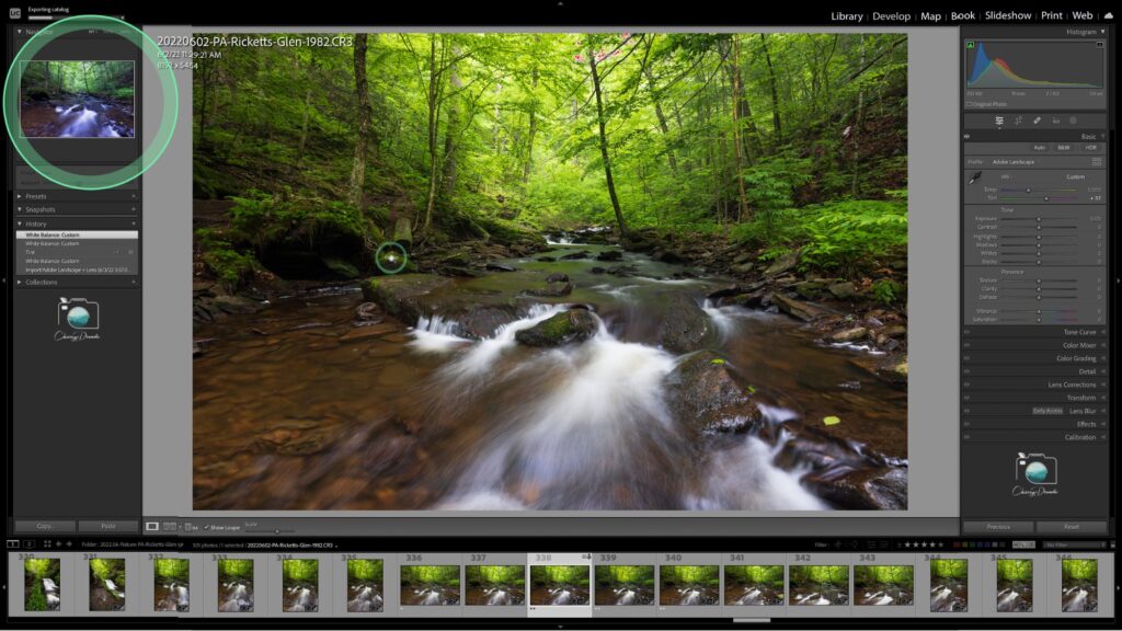 Using the Navigator Panel to help set your White Balance in Lightroom 