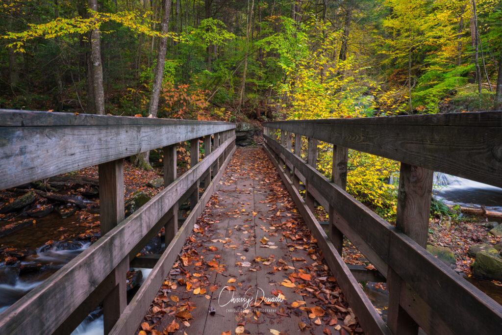 Autumn landscape photography of a bridge along a trail in Pennsylvania