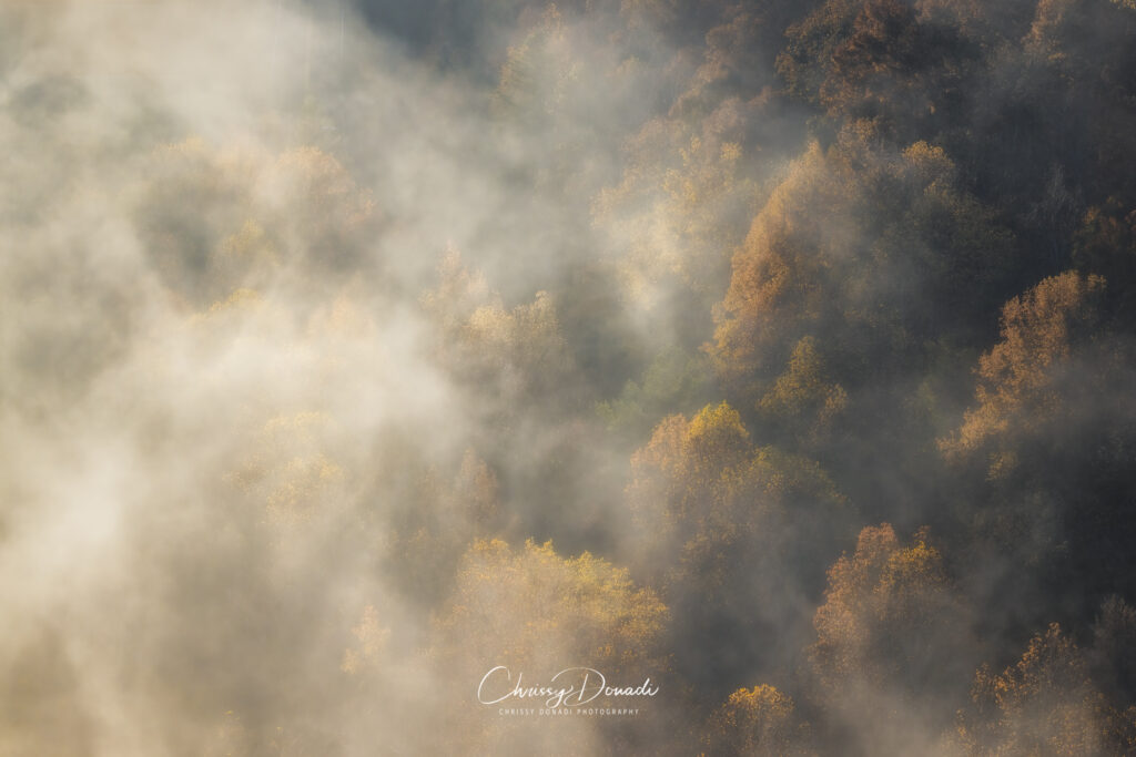 Autumn Landscape Photography image of fog among the hues of fall foliage