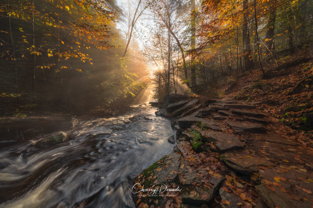 Sun rays breaking through the autumn forest canopy along a trail and river in Pennsylvania